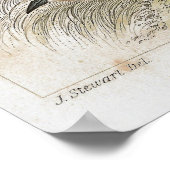 Thrush Antique Lithographie Poster (Ecke)