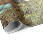 Thrush Bird und Nest Französisch Script Vintag Geschenkpapier (Rolleneckpunkt)