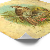 Thrush Vintag Poster (Ecke)