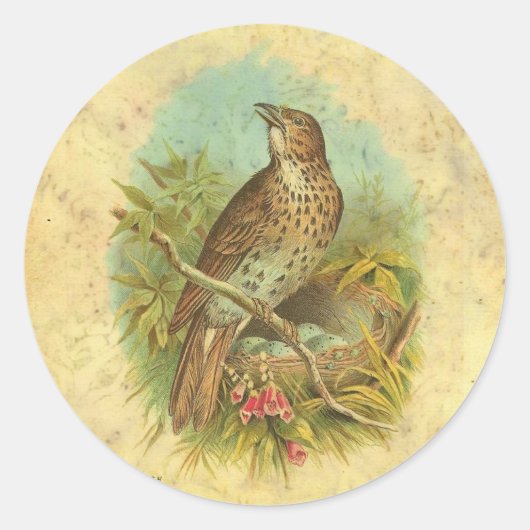Thrush Vintage Runder Aufkleber (Vorderseite)