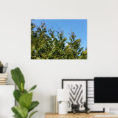 Thuja-Bäume Poster (Heimbüro)