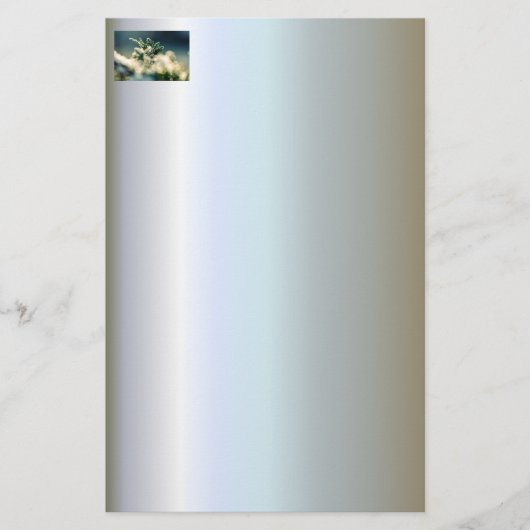 Thuja Winter Ice Crystals Briefpapier (Vorderseite)
