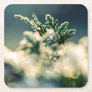 Thuja Winter Ice Crystals Rechteckiger Pappuntersetzer