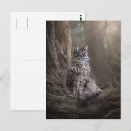 Thula Postcard Postkarte (Vorne/Hinten)