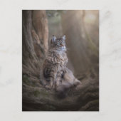 Thula Postcard Postkarte (Vorderseite)