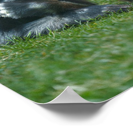 Thumb Sind zum Kotzen Gorilla Poster (Ecke)