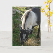 Thumbelina, die schöne Ziege Karte (Gelbe Blume)