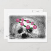 Thumbellina. Ich bin ein schöner Maltese Postkarte (Vorne/Hinten)