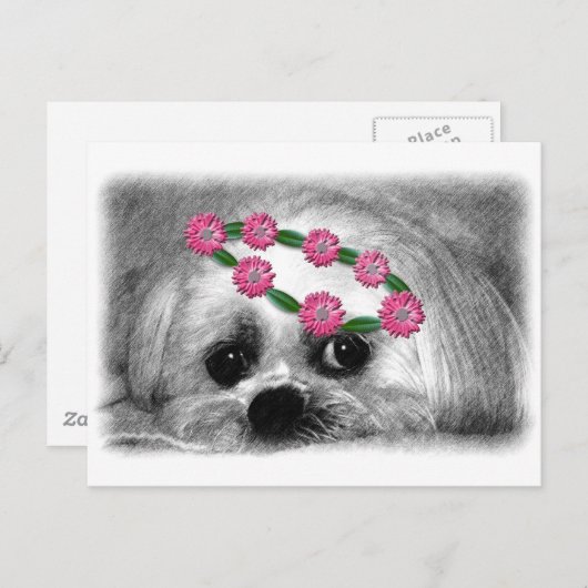 Thumbellina. Ich bin ein schöner Maltese Postkarte (Vorne/Hinten)