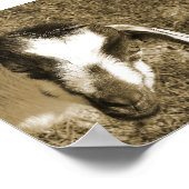 Thumblina Poster (Ecke)