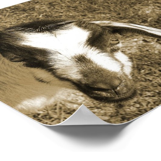 Thumblina Poster (Ecke)