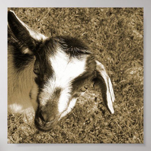 Thumblina Poster (Vorne)