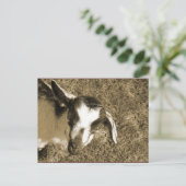 Thumblina Postkarte (Stehend Vorderseite)