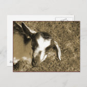 Thumblina Postkarte (Vorne/Hinten)