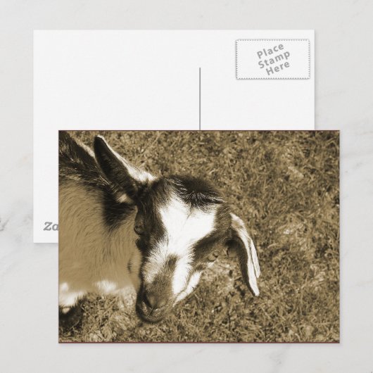 Thumblina Postkarte (Vorne/Hinten)