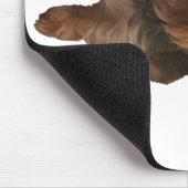 Thumbnail_Weihnachtsmannmütze Yorkie Mousepad (Ecke)