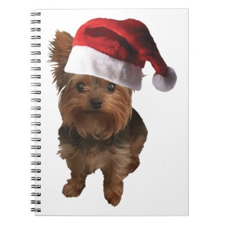 Thumbnail_Weihnachtsmannmütze Yorkie Notizblock