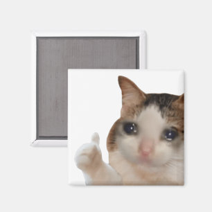 Thumbs Up Ok Cat Meme Magnet