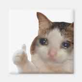 Thumbs Up Ok Cat Meme Magnet (Vorne)