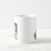 Thumbs Up Ok Cat Meme Tasse Doppelseitig (Mittel)