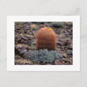 "Thumbs Up" Postkarte