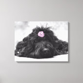 Thumper Portrait Leinwanddruck (Vorderseite)