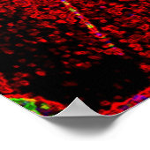 Thumpin' Poster (Ecke)