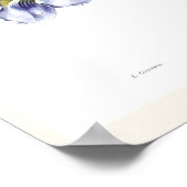 Thunbergia grandiflora poster (Ecke)