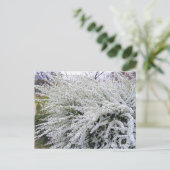 Thunbergs Wiesen:Postkarte Postkarte (Stehend Vorderseite)