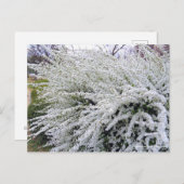 Thunbergs Wiesen:Postkarte Postkarte (Vorne/Hinten)