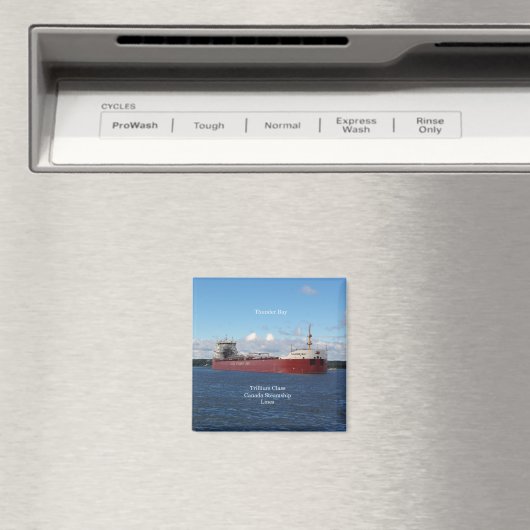 Thunder-Bay-Magnet Magnet (In Situ (Geschirrspüler))