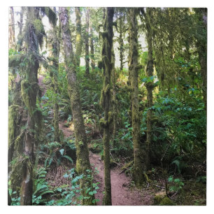 Thunder Rock Cove, Samuel H. Boardman, Oregon Fliese