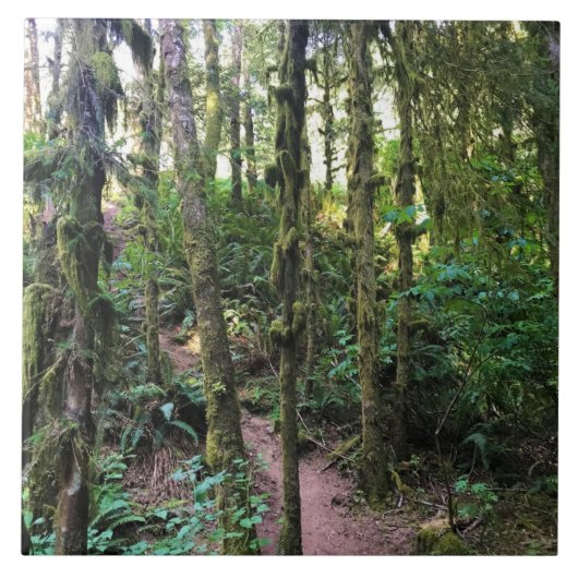 Thunder Rock Cove, Samuel H. Boardman, Oregon Fliese (Vorderseite)