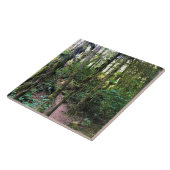 Thunder Rock Cove, Samuel H. Boardman, Oregon Fliese (Seite)