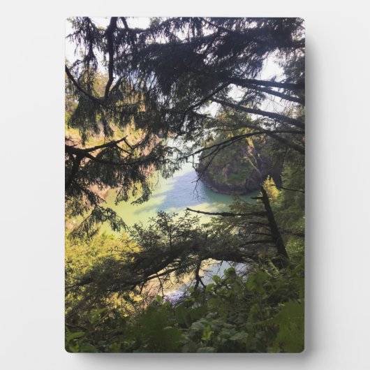 Thunder Rock Cove Trail, Samuel H. Boardman Fotoplatte (Vorderseite)