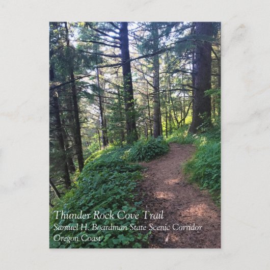 Thunder Rock Cove Trail, Samuel H Boardman, Oregon Postkarte (Vorderseite)