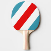 Thunderbird Bold Striping Tischtennis Schläger (Rückseite)