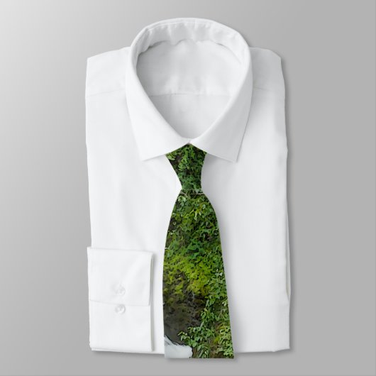 Thunderbird Falls Painterly Neck Tie Krawatte (Gebunden)