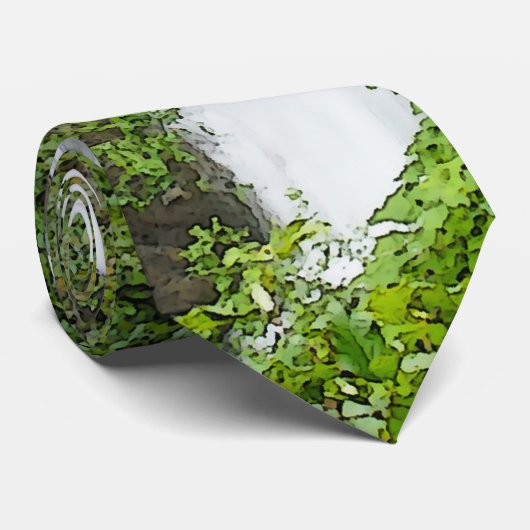 Thunderbird Falls Painterly Neck Tie Krawatte (Gerollt)