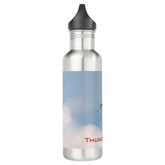 Thunderbird Wasserflasche Edelstahlflasche (Links)
