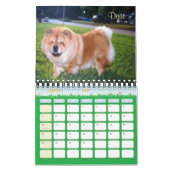 Thunderbolt-Chow-Chowe Kalender (Mär 2027)