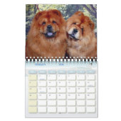 Thunderbolt-Chow-Chowe Kalender (Feb 2026)