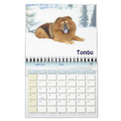 Thunderbolt-Chow-Chowe Kalender (Jan 2026)