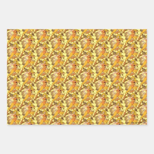 ThunderCats | Cheetara Character Graphic Geschenkpapier Set (Vorderseite 2)