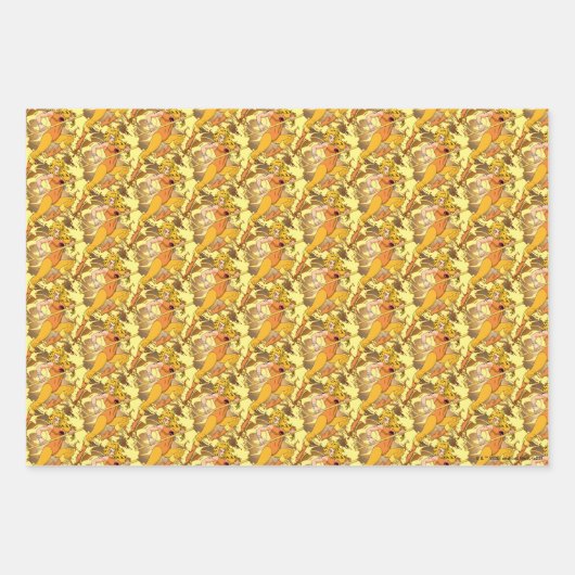 ThunderCats | Cheetara Character Graphic Geschenkpapier Set (Vorderseite)