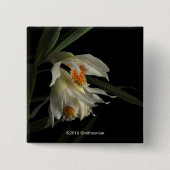 Thunia Marshalliana Button (Vorderseite)