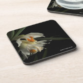 Thunia Marshalliana Getränkeuntersetzer (Linke Seite)