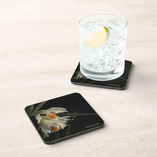 Thunia Marshalliana Getränkeuntersetzer (Rechte Seite)