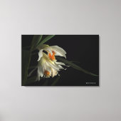 Thunia Marshalliana Leinwanddruck (Vorderseite)