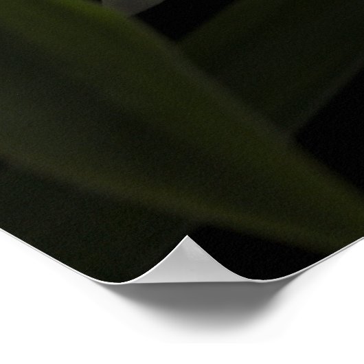 Thunia Marshalliana Poster (Ecke)